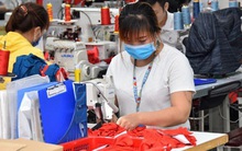 Ứng phó khi châu Âu đóng cửa biên giới