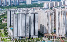 Căn hộ cho thuê 'đứng hình' trong mùa dịch