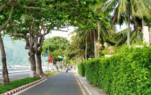 Côn Đảo dừng tiếp nhận khách du lịch từ 24-3