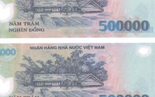 Làm ngược chuyện cảnh giác, thợ in thiệp cưới "dắt" 7 người vào trại giam