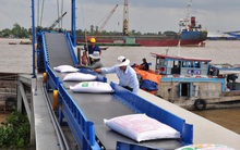 Năm 2020, Việt Nam có thể xuất 6,5-6,7 triệu tấn gạo