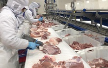 Sẽ thanh tra về giá lợn ở một số doanh nghiệp