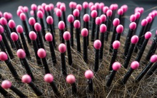 Hãy từ bỏ ngay 7 thói quen tai hại này bởi nó chính là con đường nhanh nhất lan truyền virus, vi khuẩn gây bệnh