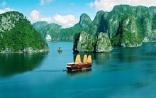 Du lịch Việt Nam tê liệt, sụt giảm chưa từng có vì dịch COVID-19