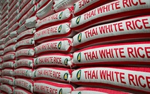 Gạo Thái Lan có giá cao nhất trong vòng 7 năm, Philippines đang chào mua
