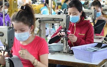 Điểm sáng xuất khẩu