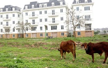 Gần 35.000 doanh nghiệp "rút lui khỏi thị trường" do dịch Covid-19