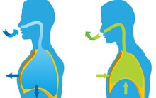 Gan nhiễm độc có thể gây bệnh toàn thân: Đừng bỏ qua 4 việc để thanh lọc từ trong ra ngoài