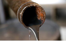 OPEC+ chỉ cắt giảm sản lượng dầu thô khai thác nếu Mỹ cũng tham gia