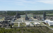 Tạm ngừng nhập khẩu xăng dầu: nên hay không?