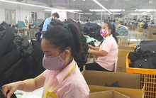 Tiền Giang: Nhiều công ty tạm ngừng hoạt động do thiếu nguyên liệu