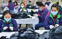 Bộ Công Thương cảnh báo việc sản xuất đại trà khẩu trang để xuất khẩu sang EU