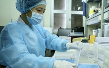 Phía sau cánh cửa căn phòng nơi có những "vú em" đặc biệt chăm sóc virus như "em bé cưng"