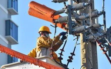 Giá điện giảm chưa hợp lý