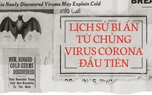 Lịch sử bí ẩn của họ virus corona: Từ cơn cảm lạnh thông thường đến những đại dịch toàn cầu