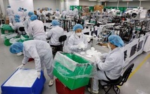 Thâm nhập 'ma trận' khẩu trang