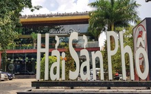 Thủ tướng yêu cầu Hà Nội xử lý dứt điểm 8B Lê Trực, mương Phan Kế Bính