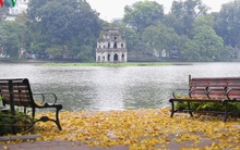 Phố phường Hà Nội đẹp nao lòng mùa sấu trút lá vàng