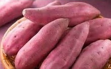 Món ăn thuốc từ khoai lang