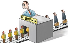 Sinh viên thực tập: Nếu thấy mình giỏi đừng bị động chờ giao việc, chủ động "cướp việc" mà làm