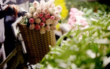 Chợ hoa đêm lớn nhất Thủ Đô vắng khách sau khi dỡ phong toả