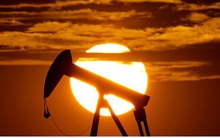 Ngành dầu mỏ thế giới bao giờ mới hết bi kịch?