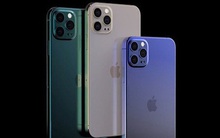 iPhone 12 sẽ có giá rẻ hơn các phiên bản cũ khi ra mắt?