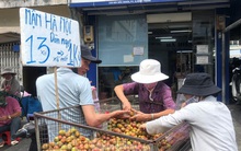 Mận Hà Nội vào Sài Gòn, giá 'loạn cào cào'