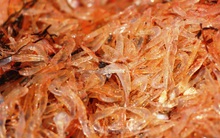 Ngư dân TT-Huế bội thu ruốc biển, thu nhập tiền triệu mỗi ngày