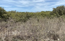 Thanh tra Chính phủ kiến nghị giải quyết bồi thường khiếu nại đất đai tại Bà Rịa- Vũng Tàu