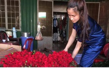 Lâm Đồng rau, hoa tăng giá trở lại nhà vườn phấn khởi