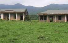 Hàng ngàn người khốn khổ chờ ngày an cư