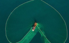 Cảnh người dân tung lưới đánh cá ở Phú Yên đầy mê hoặc được báo nước ngoài đăng tải và ca ngợi hết lời