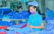 Quốc hội thảo luận, phê chuẩn EVFTA hôm nay