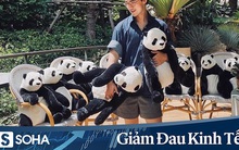 Ông chủ nhà hàng Việt trên đất Thái kể chuyện dùng gấu trúc "tiếp khách" lên báo quốc tế