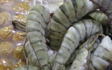 Úc siết chặt quy định với tôm nhập khẩu, doanh nghiệp Việt lo lắng