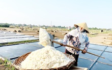 Mặn chát đời muối