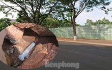 Bỏ hoang đất 'vàng' do năng lực yếu, hay cố tình không thu hồi?