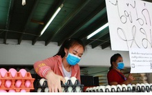 Thái Lan đẩy mạnh xuất khẩu trứng gà