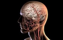 Suýt đột tử ở tuổi 28: Chàng trai hối tiếc về sai lầm nguy hại mà đa số người trẻ đều mắc