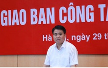 Chủ tịch Hà Nội: Cắt tỉa tất cả cây xanh trong các trường học