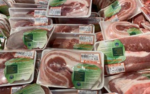 Giá thịt lợn hơi 'hạ nhiệt' vì thông tin cho nhập thịt lợn sống nguyên con