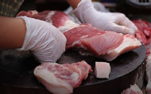 Trước khi lập đỉnh 105.000 đồng/kg, giá lợn có 5 tháng đầy biến động