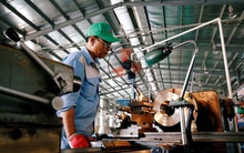 Dịch Covid-19 được kiểm soát tại Việt Nam, PMI tháng 5 tăng 10 điểm