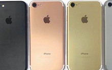 Top 5 điện thoại đáng mua trong tầm giá dưới 5 triệu đồng