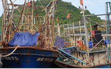 Tàu vỏ thép đóng mới theo Nghị định 67: Ngân hàng khởi kiện chủ tàu