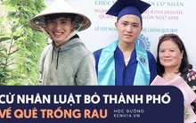 Cử nhân Luật bỏ thành phố lên Đà Lạt trồng rau, bị cha mẹ phản đối nhưng 1 năm sau nhận lại thành quả bất ngờ