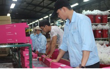 ĐBQH: Dọn tổ đón đại bàng thì cũng nên rắc thóc cho chào mào, chim sẻ