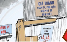 Chống chuyển giá doanh nghiệp FDI cần Kiểm toán Nhà nước vào cuộc