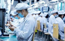 Doanh nghiệp FDI có nguy cơ trốn tránh thuế cao nhất